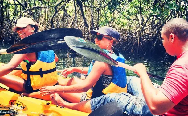 Kayaking in the mangrove of Trois-Ilets