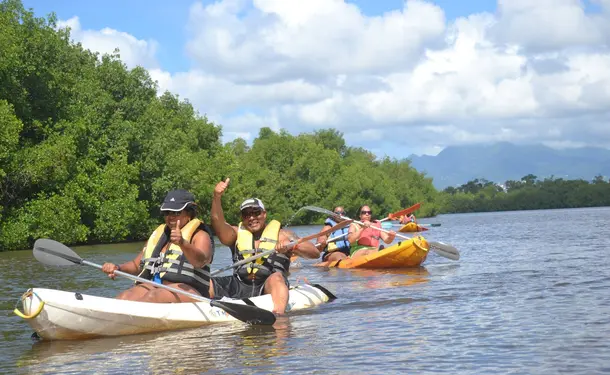 Randonnée en Kayak dans la mangrove des Trois-Ilets