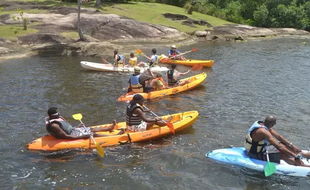 Randonnée en Kayak dans la mangrove des Trois-Ilets