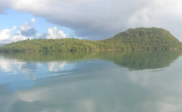 Randonnée en Kayak dans la mangrove des Trois-Ilets