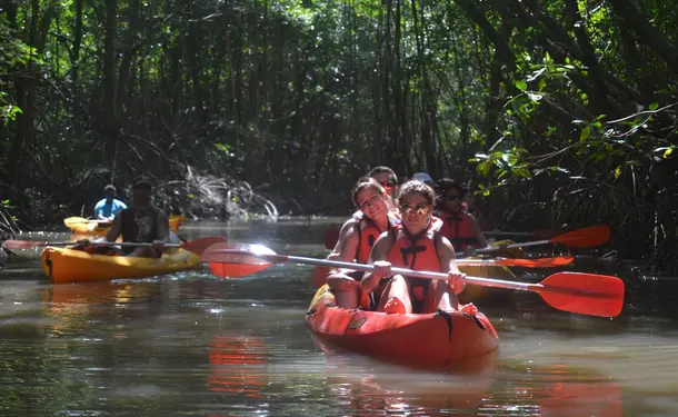 Randonnée en Kayak dans la mangrove des Trois-Ilets
