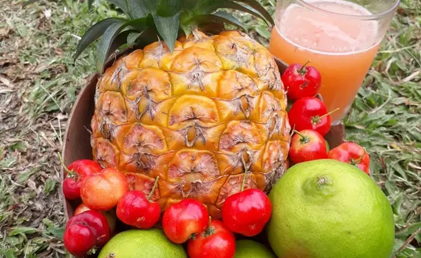 Gourmet crossing to the North Caribbean