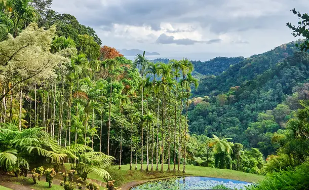 Botanical Garden of Balata