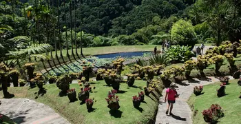 Le jardin de Balata
