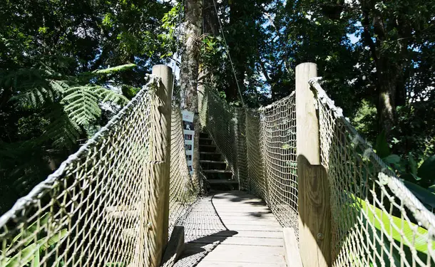 Le jardin de Balata