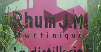 The JM Distillery