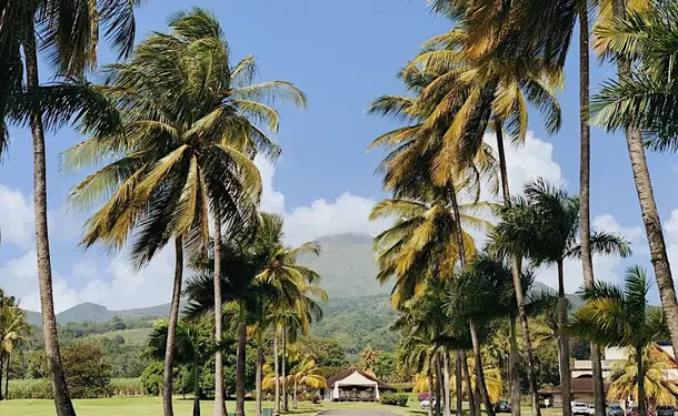 Depaz Distillery