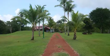 The House of Cane