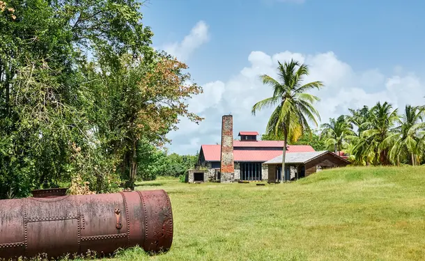 The House of Cane