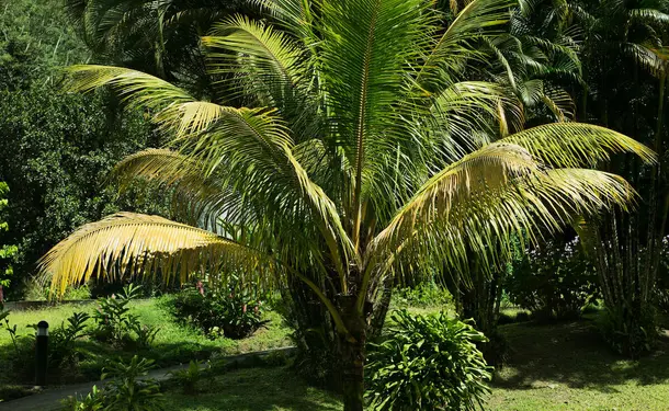 Le Domaine d'Émeraude
