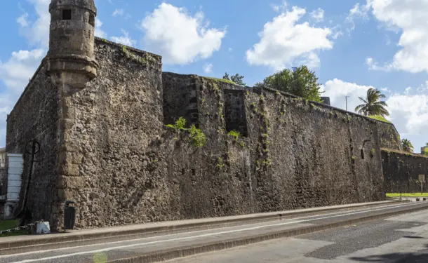 The Saint Louis Fort
