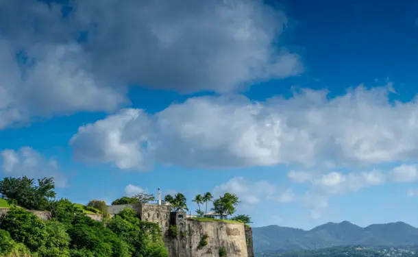 The Saint Louis Fort