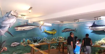 Sea Museum of Martinique