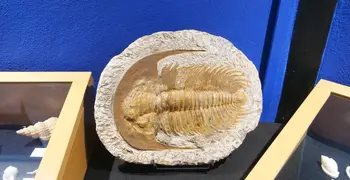 Sea Museum of Martinique
