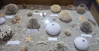 Le Musée de la Mer
