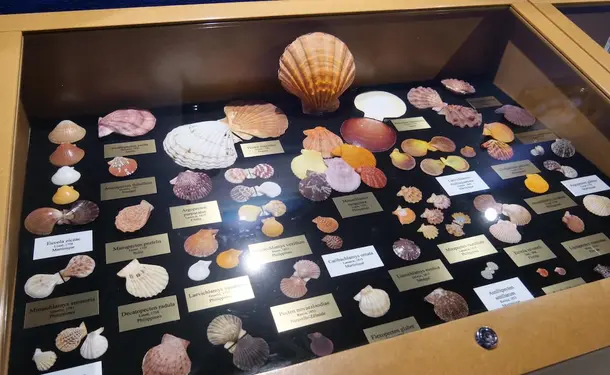Le Musée de la Mer