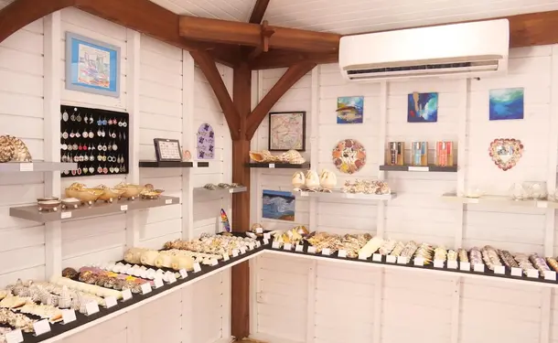 Le Musée de la Mer
