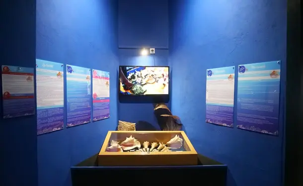 Le Musée de la Mer