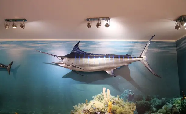 Sea Museum of Martinique