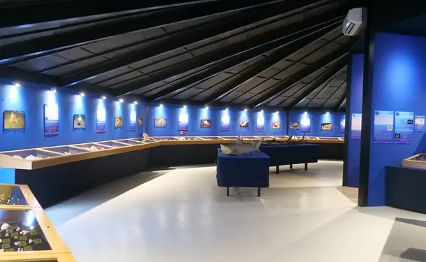 Le Musée de la Mer
