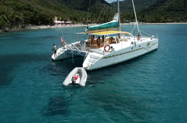Catamaran day in the north of the island with dolphins