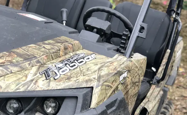 Tropical buggy adventures in the South