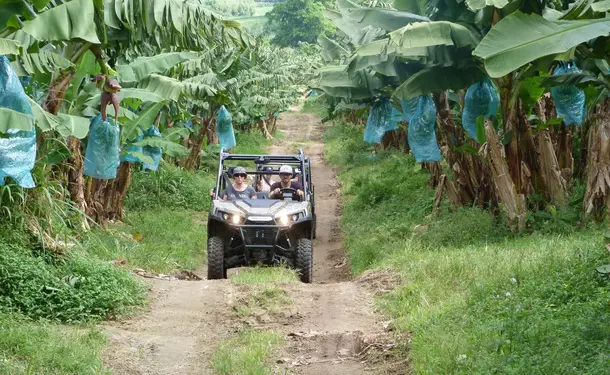 Escapade exotique en buggy dans le Nord