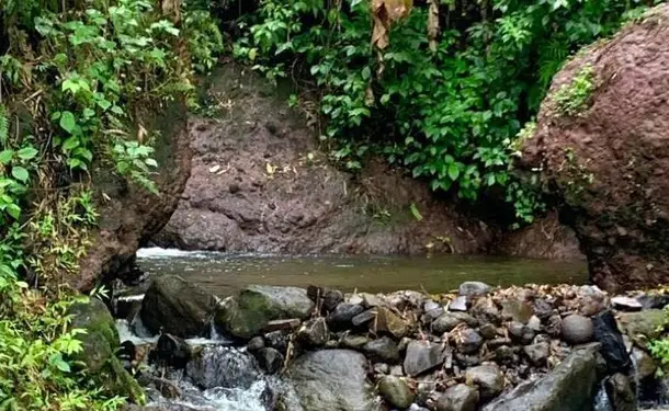 Start bathing: an ancestral practice to let go!