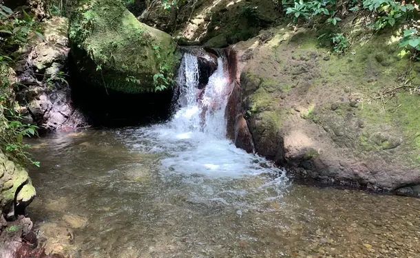 Revitalizing morning: 5 hours of decompression between sea and river
