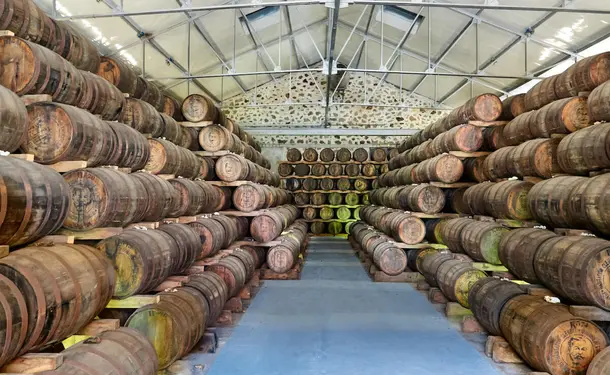Rum, History and Nature on the Atlantic Coast