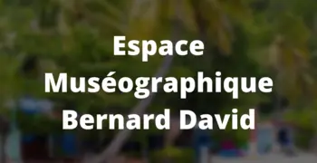 The Bernard David Museographic Space