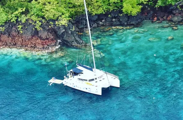 Journée catamaran, dauphin et plongée pour un max de fun