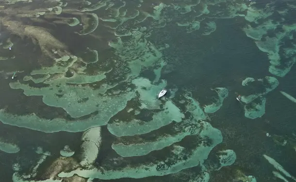 Survolez la Martinique à bord d'un autogire (30mins)