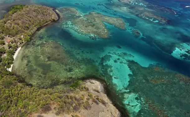 Survolez la Martinique à bord d'un autogire (30mins)