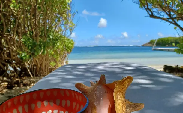 Relaxation day &amp; massage (duo) on Chevalier Island