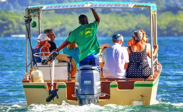 Immersion dans la mangrove de Génipa