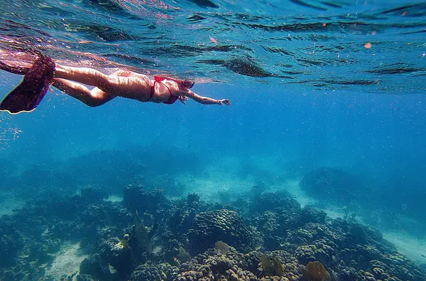 Snorkeling en bateau pour randonnée palmée (sur les coraux)