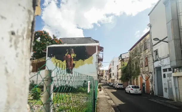 Street Art Tour in the heart of Fort-de-france