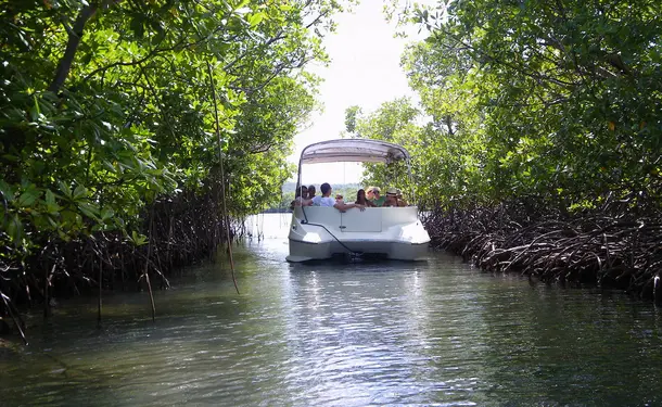 Découverte de la mangrove et du récif corallien