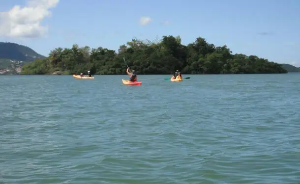 Kayak rental - trip to the Chancel islet and the mangrove
