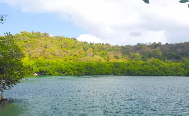 Découverte de la mangrove et du récif corallien