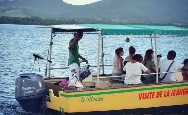 Immersion in the mangrove of Génipa