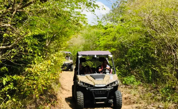 Aventures tropicales en buggy dans le Sud