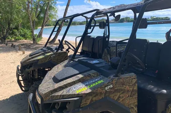 Aventures tropicales en buggy dans le Sud