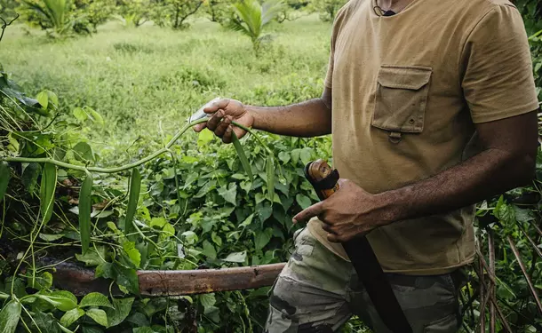 Discovery of an Agro-Farm & its Vanilla plantation