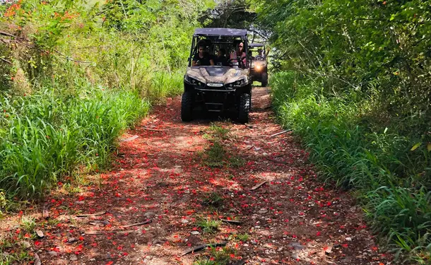 Aventures tropicales en buggy dans le Sud