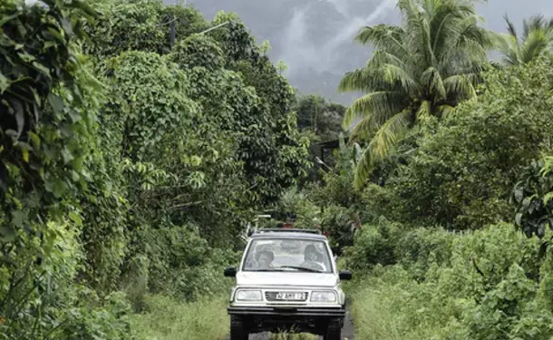 Discovery of an Agro-Farm & its Vanilla plantation