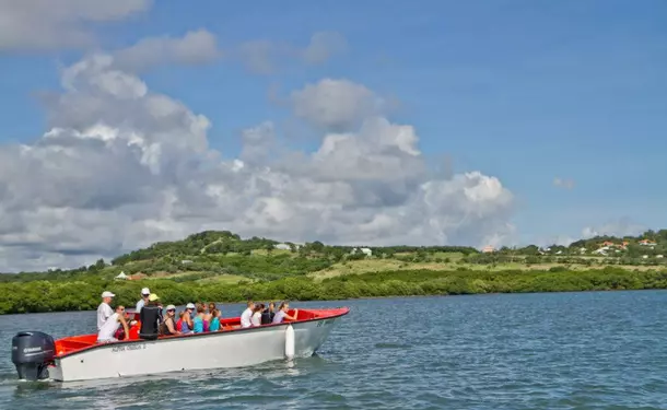 Demi-journée balade en bateau et détente sur la côte Est