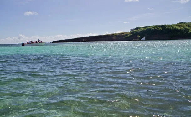 Demi-journée balade en bateau et détente sur la côte Est