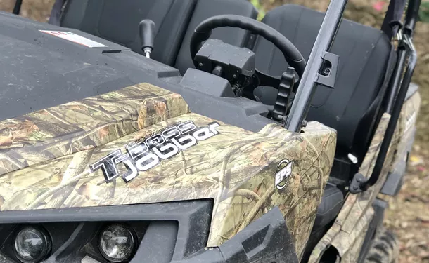 Tropical buggy adventures in the South